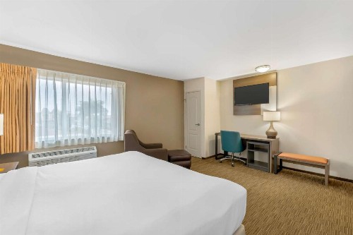 Comfort Inn Cockatoo Near LAX - image 7