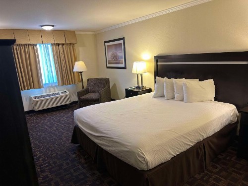 Best Western PLUS Inn of Hayward - image 24