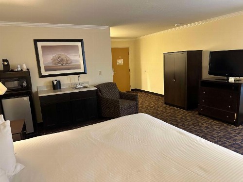 Best Western PLUS Inn of Hayward - image 26