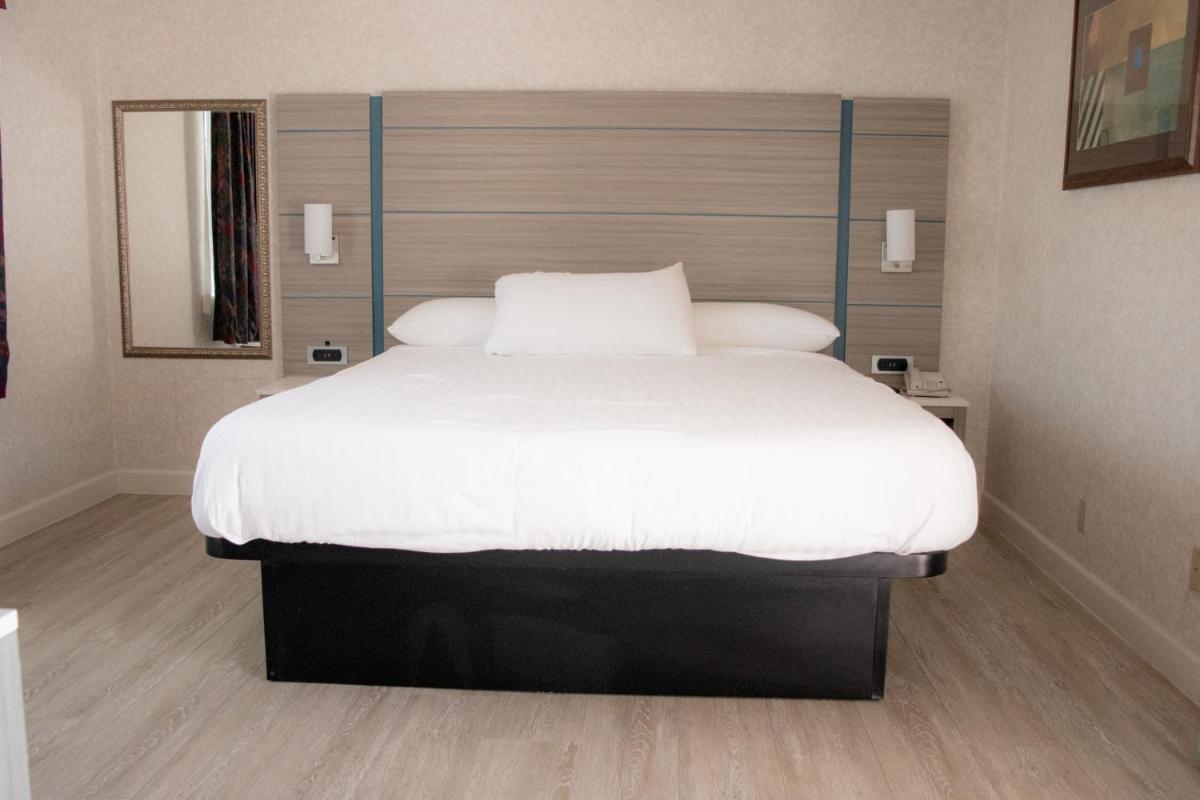 Discovery Inn - main image