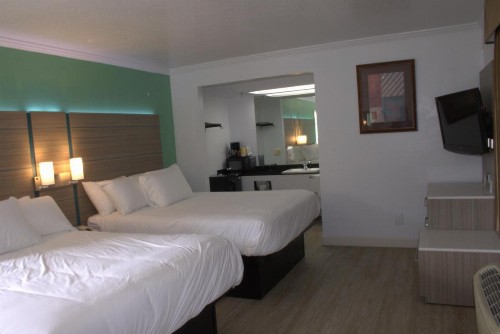 Discovery Inn - image 11