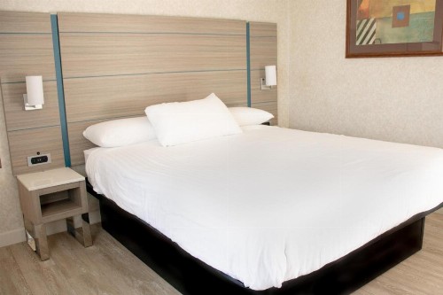 Discovery Inn - image 31