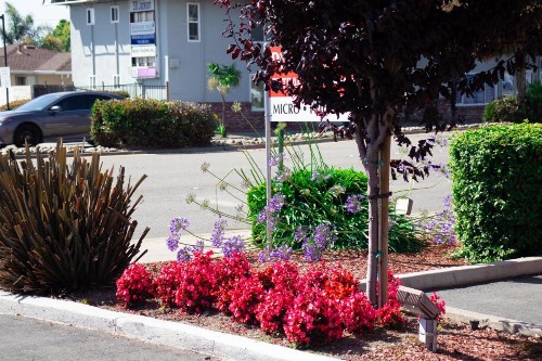 Discovery Inn - image 42
