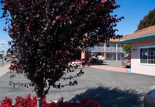 Discovery Inn - image 48