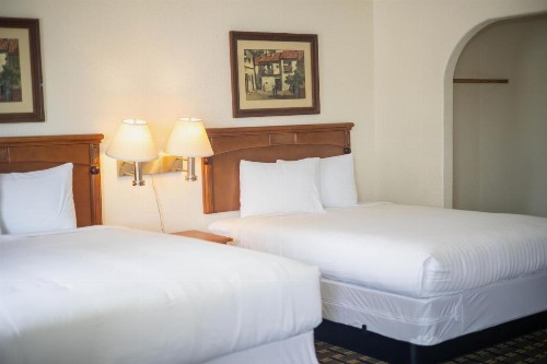 Deluxe Inn - image 12