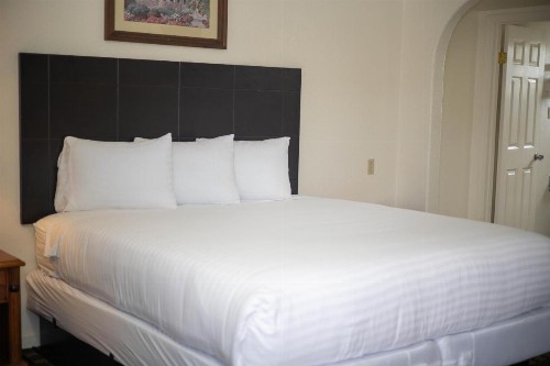 Deluxe Inn - image 20