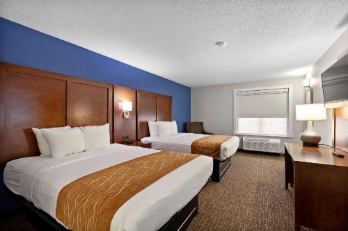 Comfort Inn & Suites Hazelwood - St Louis Hazelwood - image 11