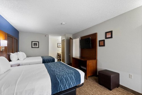Comfort Inn & Suites Hazelwood - St Louis Hazelwood - image 27