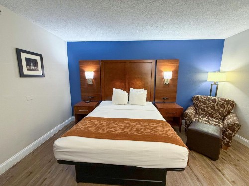 Comfort Inn & Suites Hazelwood - St Louis Hazelwood - image 40