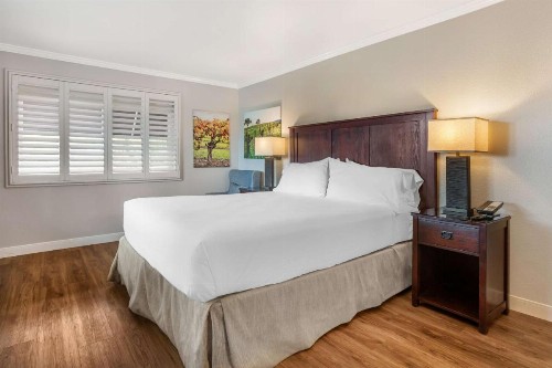 Best Western Dry Creek Inn - image 39