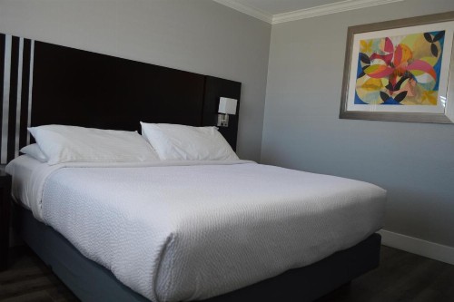 Fairview Inn & Suites - image 41