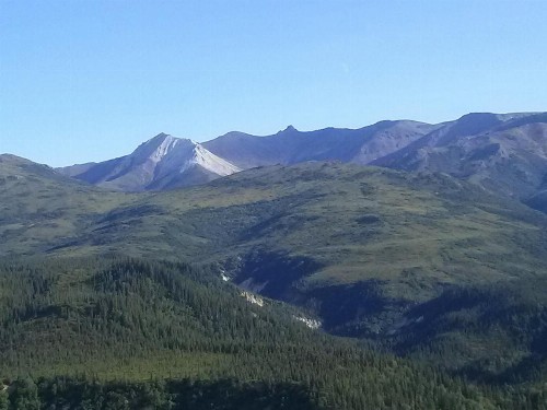 Alaskan Spruce Cabins - image 12