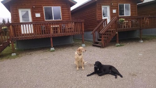 Alaskan Spruce Cabins - image 19