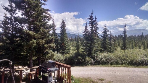 Alaskan Spruce Cabins - image 21