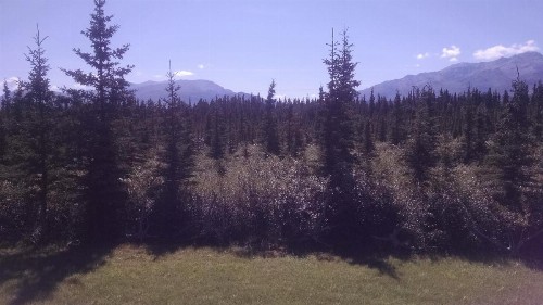 Alaskan Spruce Cabins - image 22