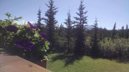 Alaskan Spruce Cabins - image 31