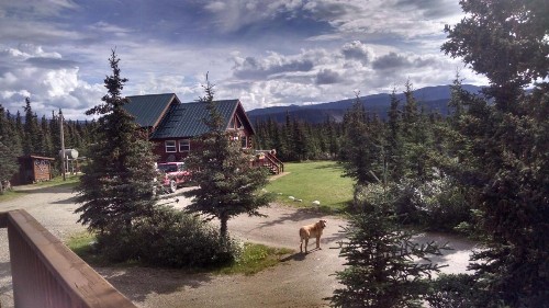 Alaskan Spruce Cabins - image 32