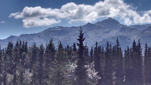 Alaskan Spruce Cabins - image 33