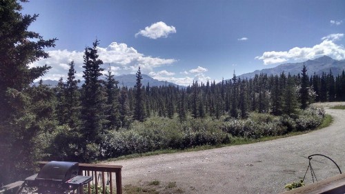 Alaskan Spruce Cabins - image 38