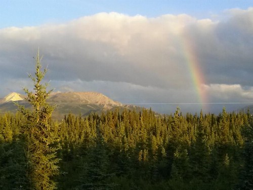 Alaskan Spruce Cabins - image 5