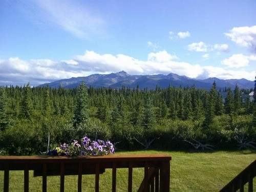 Alaskan Spruce Cabins - image 8