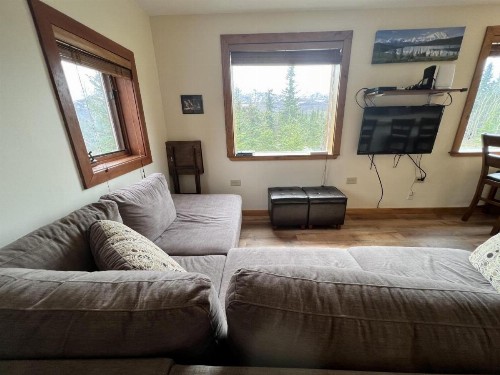 Denali Nightly House Rentals - image 10