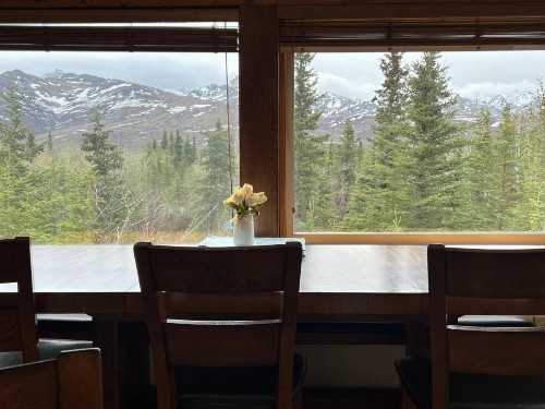Denali Nightly House Rentals - image 17