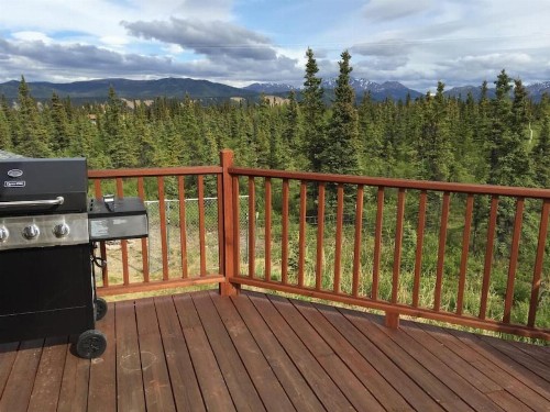 Private Home at Denali - image 4