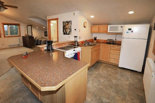 Denali Luxury King Studio Suite w/all amentities and Spectacular Views - image 9