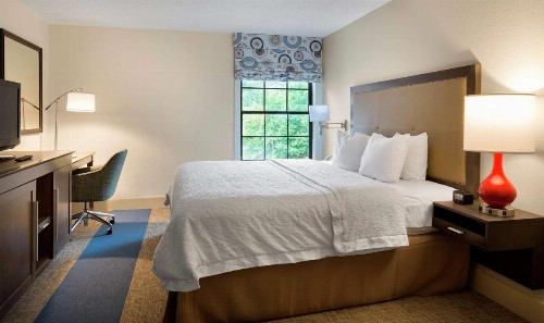 Hampton Inn Helen - image 32