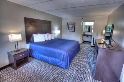 Budgetel Inn and Suites Plus Helen - image 1