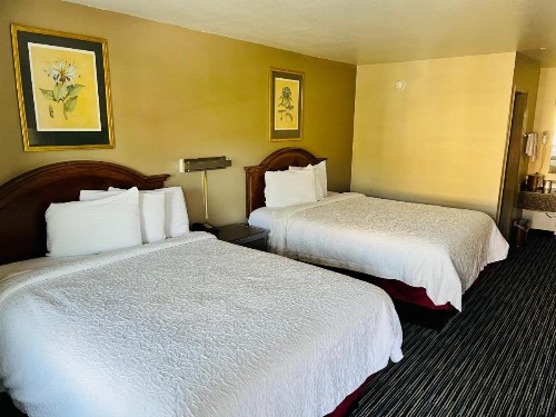 Haven Inn & Suites Helen - image 3