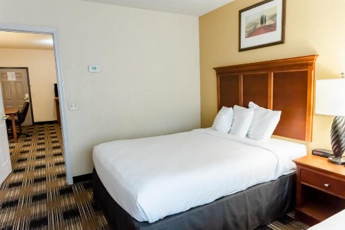 Country Inn & Suites by Radisson Helen GA - image 21