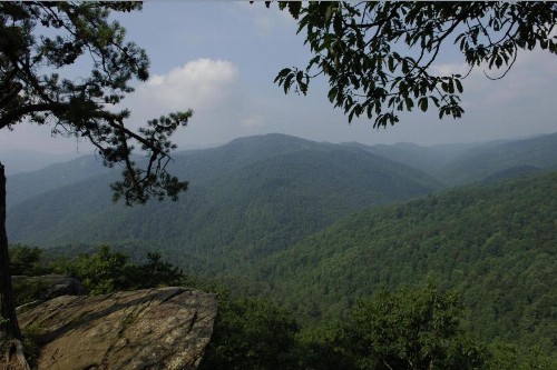 Black Forest Bed & Breakfast - image 13