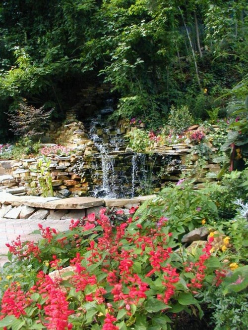Black Forest Bed & Breakfast - image 18