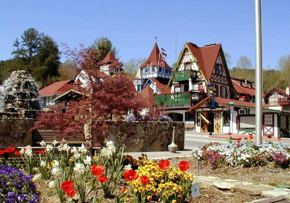 Black Forest Bed & Breakfast - image 7