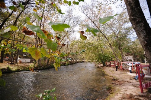 Riverbend Motel & Cabins - image 17