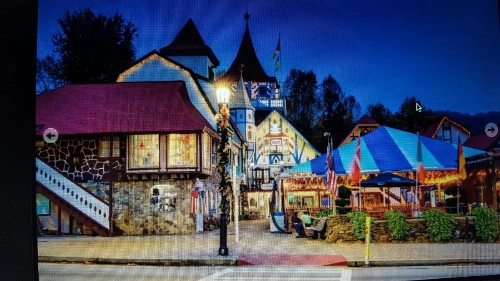 Bear Creek Lodge & Cabins- Pet Friendly - image 2