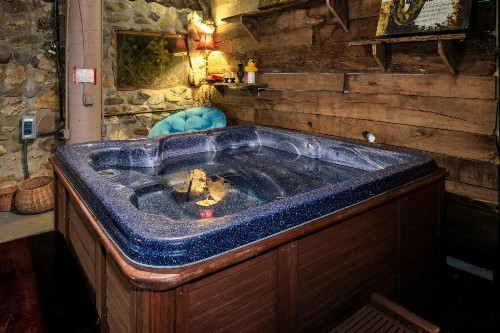 Bear Creek Lodge & Cabins- Pet Friendly - image 3