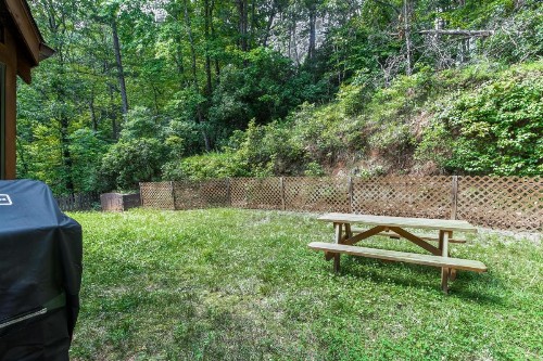 Treehouse - image 8
