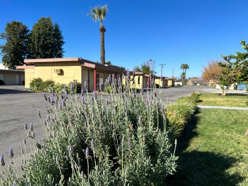 Royal Inn and Suites - image 11