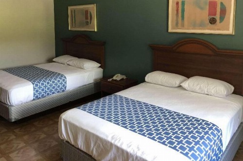 Rodeway Inn & Suites - image 3