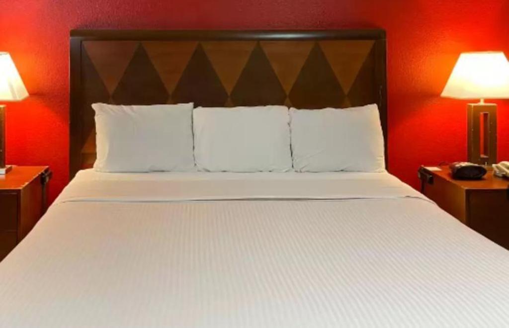 Rodeway Inn & Suites - image 5