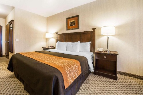 Comfort Inn & Suites Henderson - Las Vegas - image 15