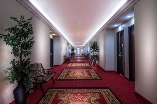 Skyline Hotel and Casino - image 20