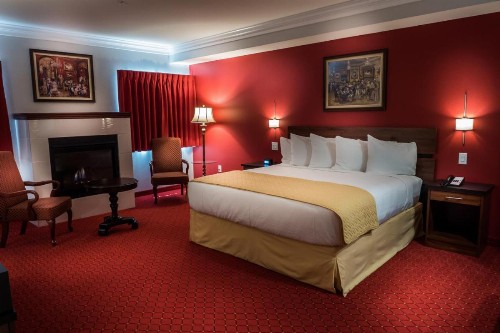 Skyline Hotel and Casino - image 42