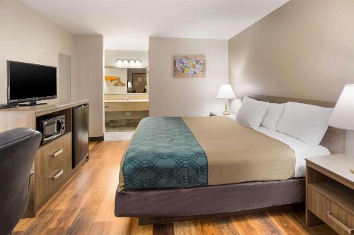 Econo Lodge Hendersonville - image 9