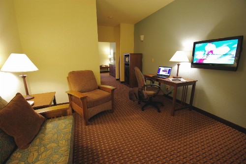 Mountain Inn & Suites Airport - Hendersonville - image 13