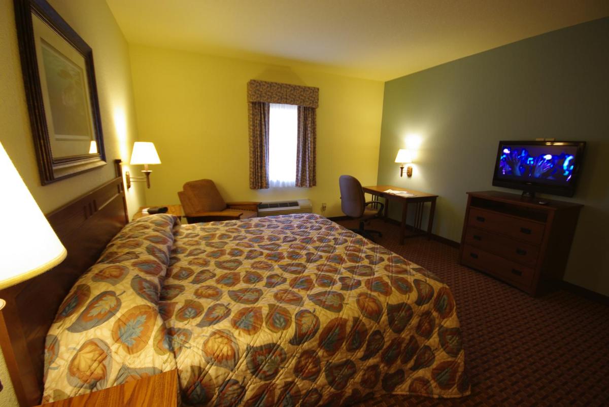 Mountain Inn & Suites Airport - Hendersonville - image 4