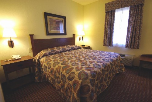 Mountain Inn & Suites Airport - Hendersonville - image 9